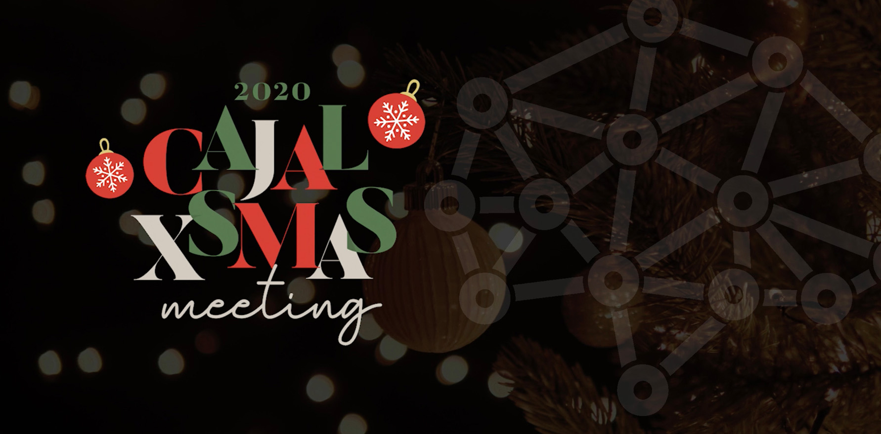 CajalXmas meeting